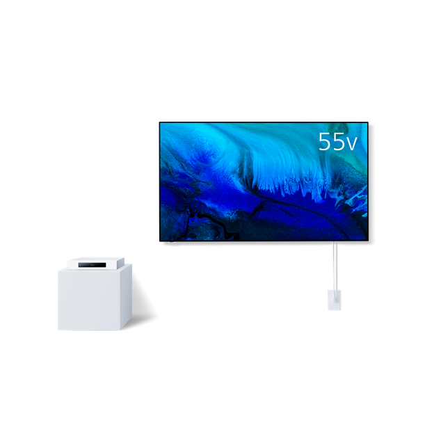 TH-55LW2L 購入 - 4K有機ELテレビ | テレビ（ビエラ） | Panasonic